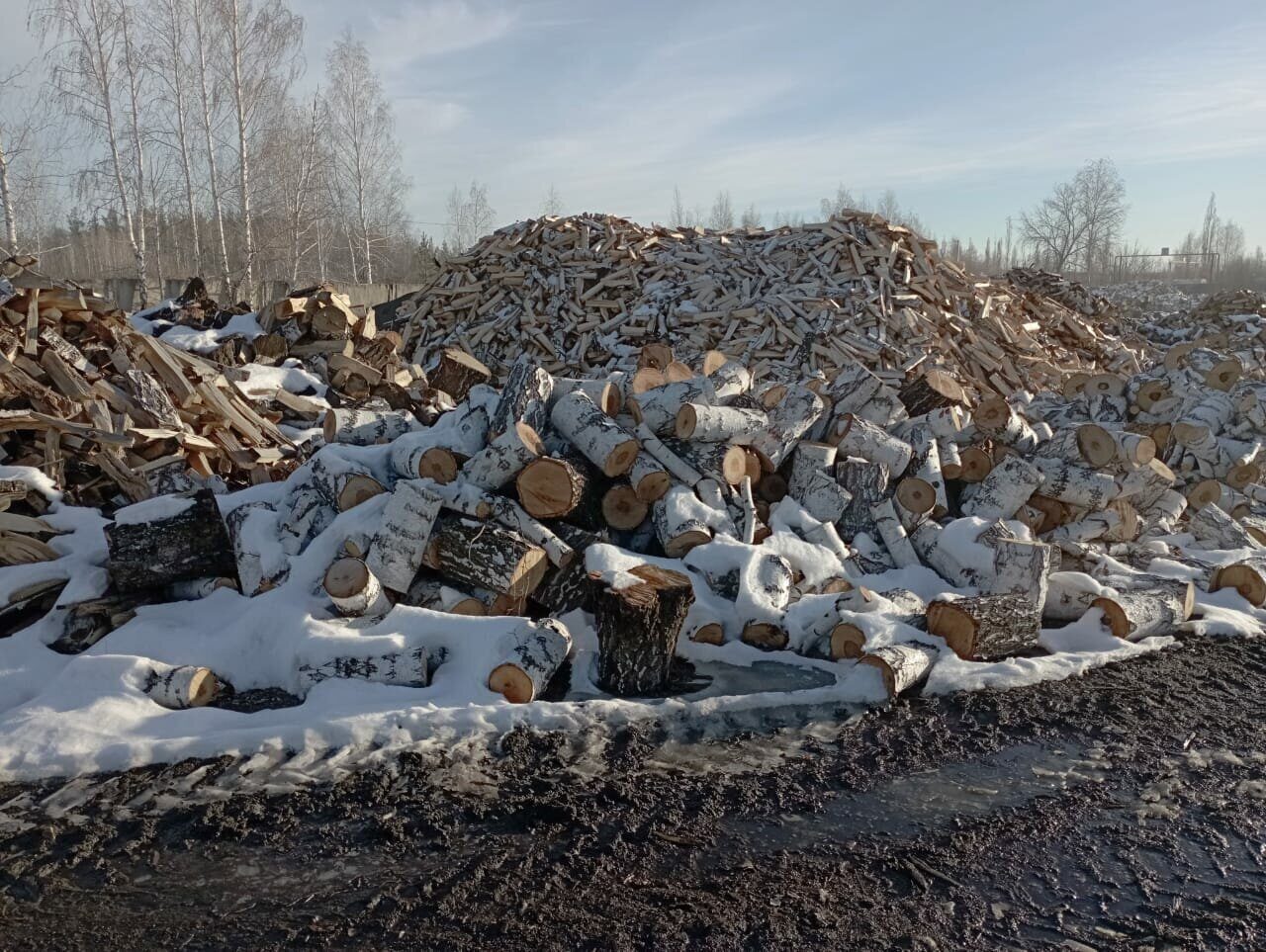 Купить дрова в Шадринске. Доски обрезные.